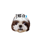 ちゃおすけ。（個別スタンプ：6）