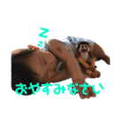 愛しの息子くん（個別スタンプ：9）
