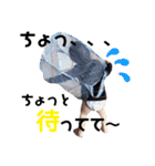 愛しの息子くん（個別スタンプ：39）