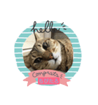 猫のちびたろくん（個別スタンプ：7）