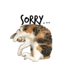 あめち（個別スタンプ：9）