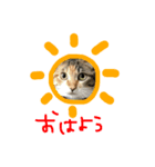 あめち（個別スタンプ：11）