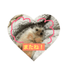 ハリくん（個別スタンプ：3）