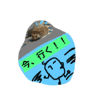 ハリくん（個別スタンプ：5）