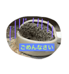 ハリくん（個別スタンプ：7）