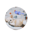 あおたんのすたんぷ☆（個別スタンプ：2）