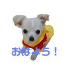 あおたんのすたんぷ☆（個別スタンプ：4）