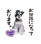 181028111454.25R4t9N（個別スタンプ：1）