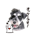 181028111454.25R4t9N（個別スタンプ：2）