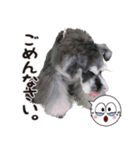 181028111454.25R4t9N（個別スタンプ：3）
