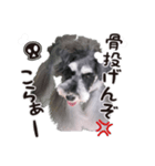 181028111454.25R4t9N（個別スタンプ：5）