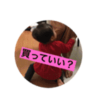 あかり＃1（個別スタンプ：31）