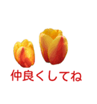 アメニティーさくら2（個別スタンプ：2）