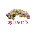 アメニティーさくら2（個別スタンプ：3）