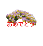 アメニティーさくら2（個別スタンプ：6）