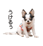 小鞠といっしょ♪（個別スタンプ：7）