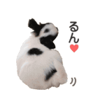 小鞠といっしょ♪（個別スタンプ：8）