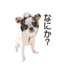 小鞠といっしょ♪（個別スタンプ：32）