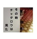 粟さん家とチョスチャタ（個別スタンプ：30）