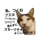 粟さん家とチョスチャタ（個別スタンプ：33）