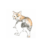 まゆにゃんず(ΦωΦ)イラスト（個別スタンプ：5）