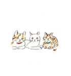 まゆにゃんず(ΦωΦ)イラスト（個別スタンプ：7）