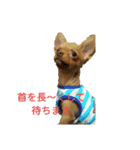 Kuuちゃんのスタンプ（個別スタンプ：4）