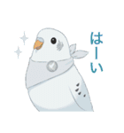 インコカラーズスタンプ（個別スタンプ：2）