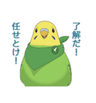 インコカラーズスタンプ（個別スタンプ：6）