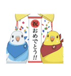 インコカラーズスタンプ（個別スタンプ：19）