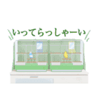 インコカラーズスタンプ（個別スタンプ：20）