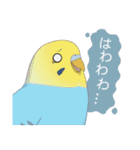 インコカラーズスタンプ（個別スタンプ：31）