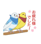 インコカラーズスタンプ（個別スタンプ：32）