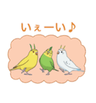 インコカラーズスタンプ（個別スタンプ：35）