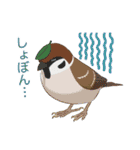 インコカラーズスタンプ（個別スタンプ：36）