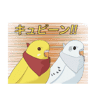 インコカラーズスタンプ（個別スタンプ：37）