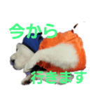 よんよんの日常（個別スタンプ：8）