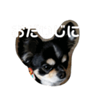 まろきゅ（個別スタンプ：8）