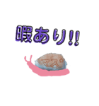 殻ツムリ（個別スタンプ：7）