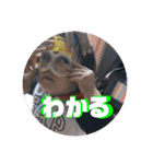 つーくんスタンプ セリフ編（個別スタンプ：20）
