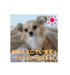 Tomo_Yoスタンプ（個別スタンプ：23）