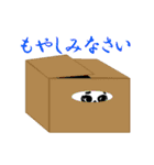 キャブダボウシテン 3（個別スタンプ：15）