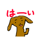 ダックス 日常（個別スタンプ：12）