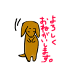 ダックス 日常（個別スタンプ：20）