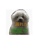 かっこいいです（個別スタンプ：15）