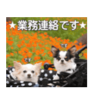 梅ちゃん＊鞠ちゃん（個別スタンプ：2）