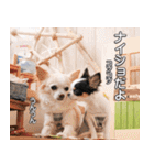 梅ちゃん＊鞠ちゃん（個別スタンプ：28）