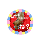 meru chan_1（個別スタンプ：5）