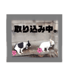 フレンチブルドッグのおふたりさん（個別スタンプ：7）