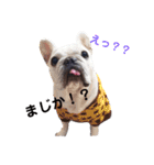フレンチブルドッグのおふたりさん（個別スタンプ：9）